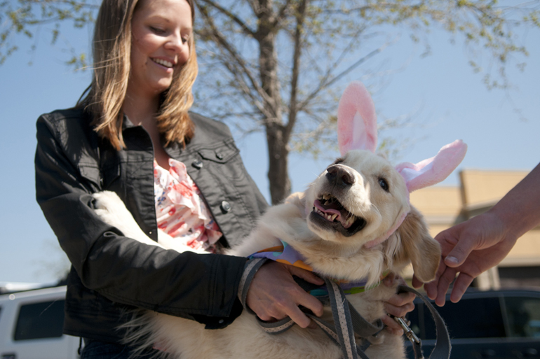 Kathleen Jeffers holds onto Cindee Lee, a golden retriever sporting Easter bunny ears, during Three Dogs Bakery\'s annual Easter Begg Hunt at Hamilton Town Centre in Noblesville, Saturday, April 19, 2014. Dogs could eat treats hidden inside the eggs if either their nose or the nose of their human touched the egg.
