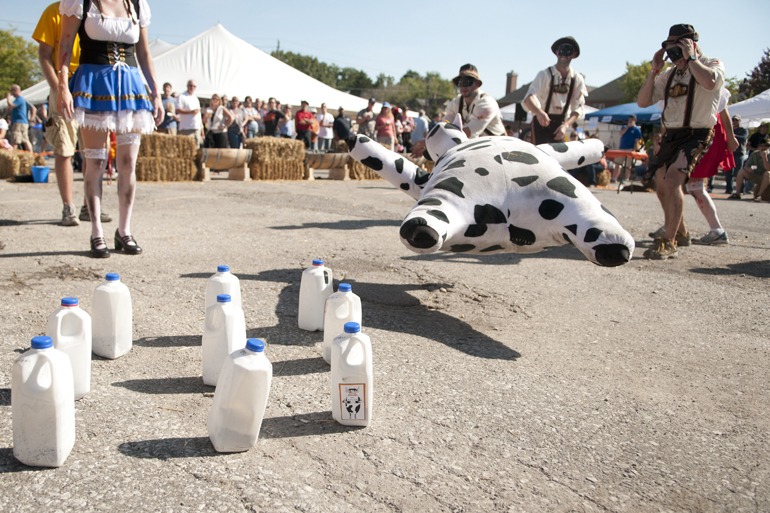 Zombie Schnitzel fails to throw a large fluffy cow blindfolded into a group of nine milk cartons during GermanFest\'s Beer Games at the Athenaeum in Indianapolis, Saturday, Oct. 12, 2013.